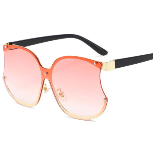 Metal Trim Sunglasses